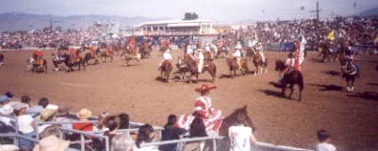 Rodeo